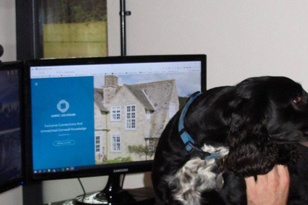 archie majik 600x400 - A Warm Welcome!