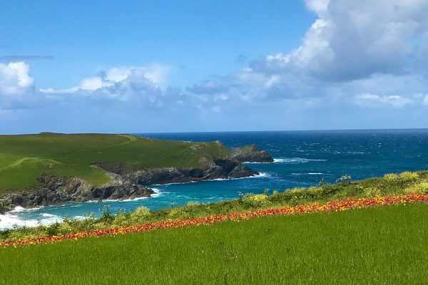 polyjoke 600x400 - Waste not want not