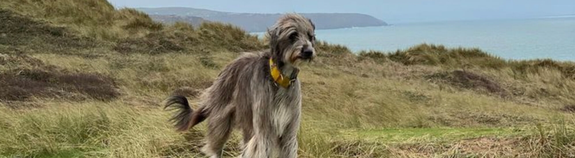 Queenie Lantic Locations