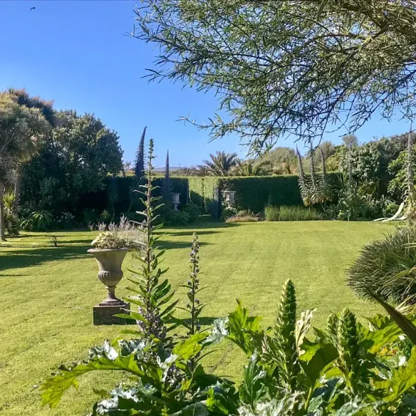 17th Centuary barn Sub tropical gardenscornwall subtropical garden 600x600 - 17th Century Barn