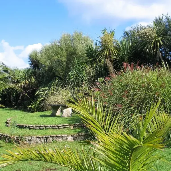 17th Centuary barn Sub tropical gardensgrass exotics2 600x600 - 17th Century Barn