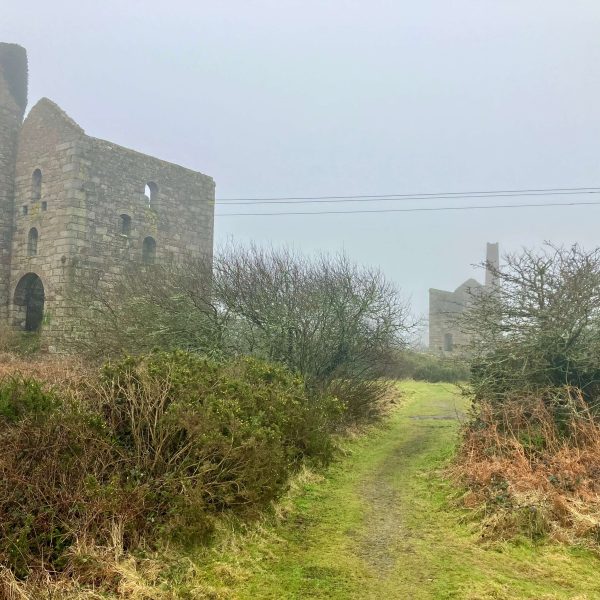 Cornish MineIMG 6519 600x600 - Cornish Mine