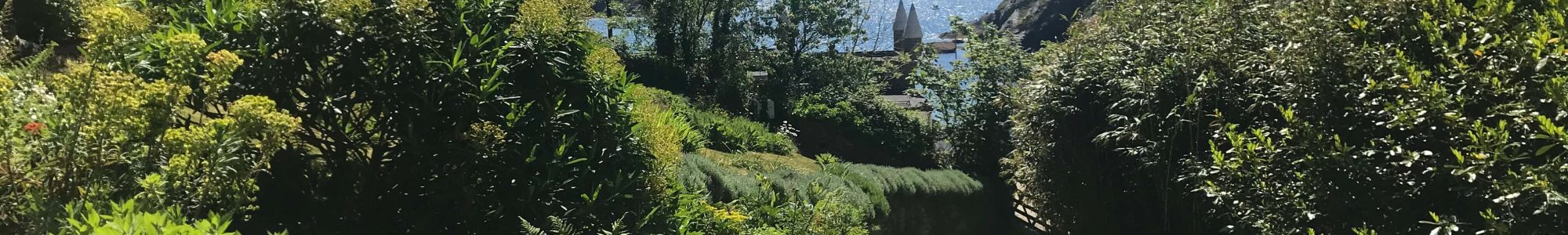 secret gardenIMG 4402 2000x300 - The Old Farmhouse