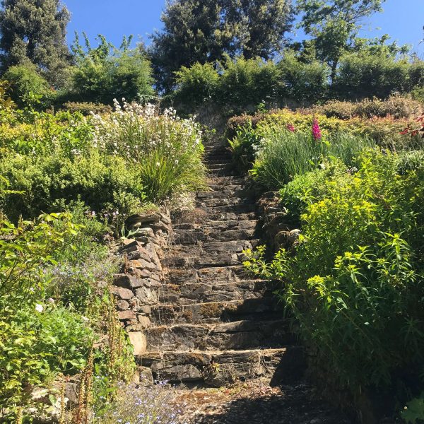 secret gardenIMG 4403 600x600 - Secret Garden