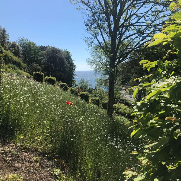 secret gardenIMG 4407 600x600 - Secret Garden