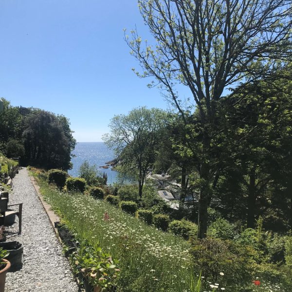 secret gardenIMG 4408 600x600 - Secret Garden