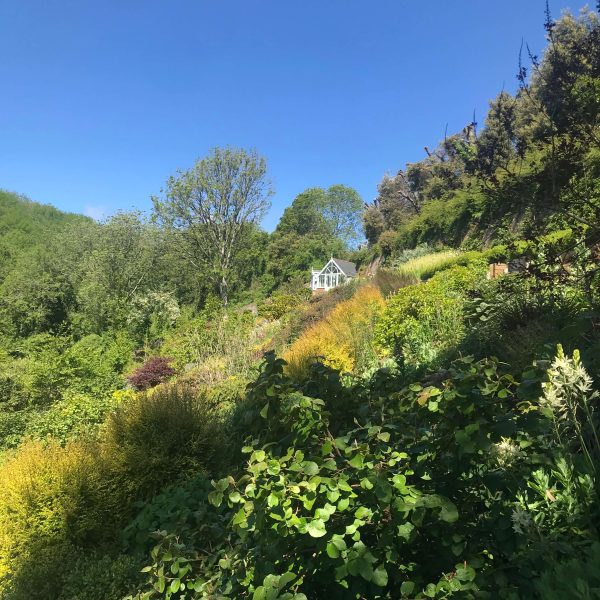 secret gardenIMG 4417 600x600 - Secret Garden