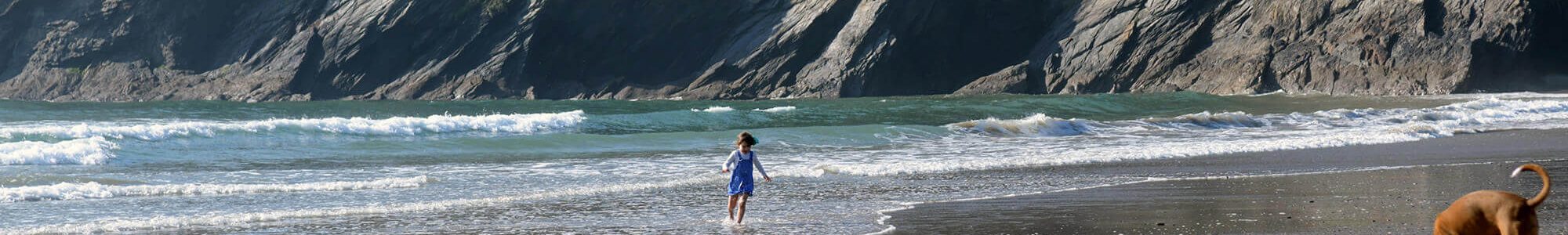 Cornish Castle and EstateCaerhays 2327 2000x300 - Parc An Praze