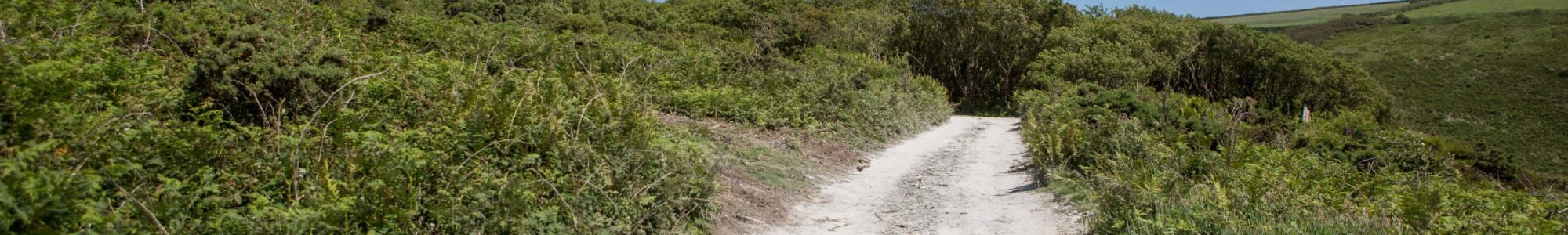 Wilderness GlampingD1DEBA66 8B6B 49C7 B487 88BA03B9AB74 scaled e1713520502983 2000x300 - Castle Resort