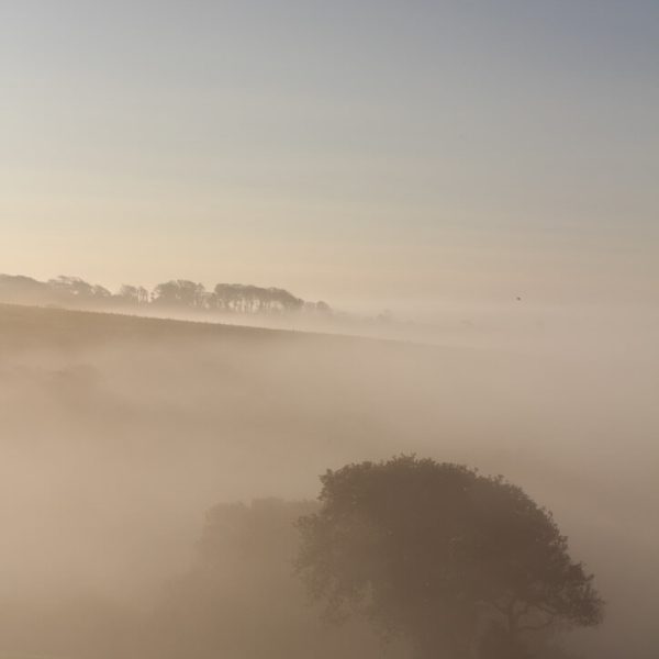 Mediterranean Barn54E8704A 40D1 4174 A3E7 3A49E319527B 1 105 c 600x600 - Mediterranean Style Barn