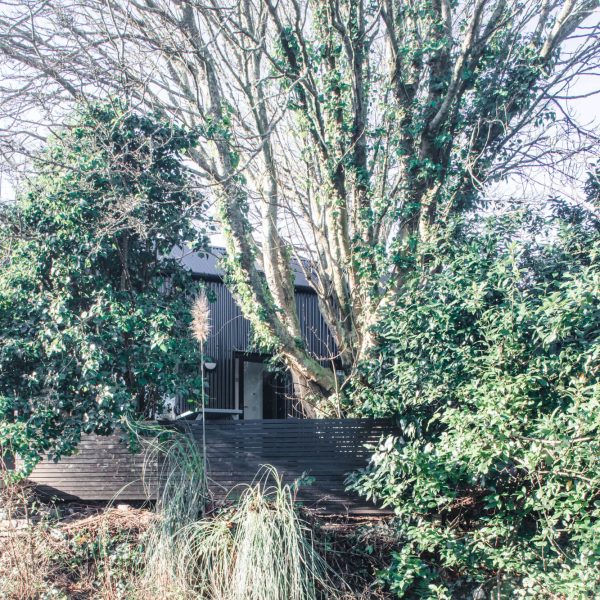 Tree House2141D43A 15D9 4200 B08C F7777E6824A8 600x600 - Tree House