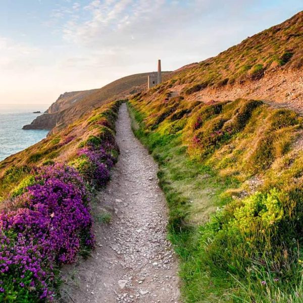 Clifftop Chalet11FB4AB6 2736 46C6 B190 529E7737E81B 600x600 - Clifftop Chalet