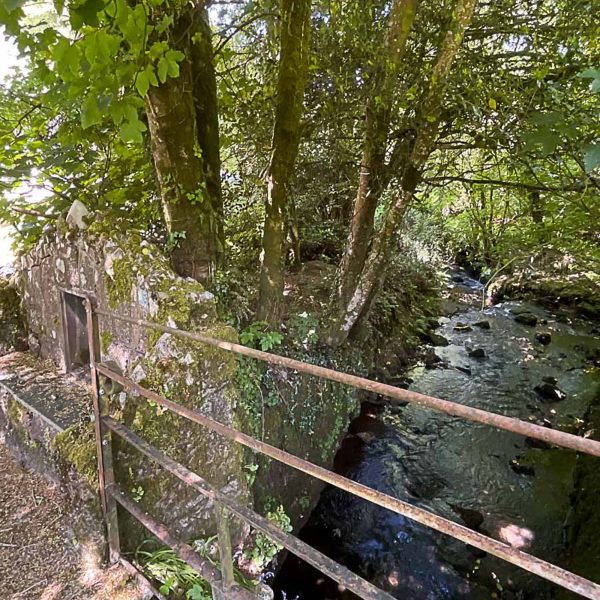 Historic Cornish Abbeybed breakfast cornwall st benets abbey 32 600x600 - Historic Cornish Abbey