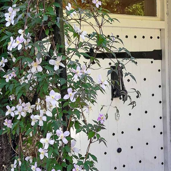 Historic Cornish Abbeybed breakfast cornwall st benets abbey 46 600x600 - Historic Cornish Abbey