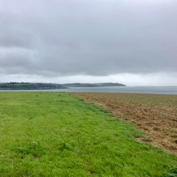 Flushing Estate8AD2F037 29AF 4F1E B589 DD5060D9E1A0 1 105 c 600x600 - Flushing Estate