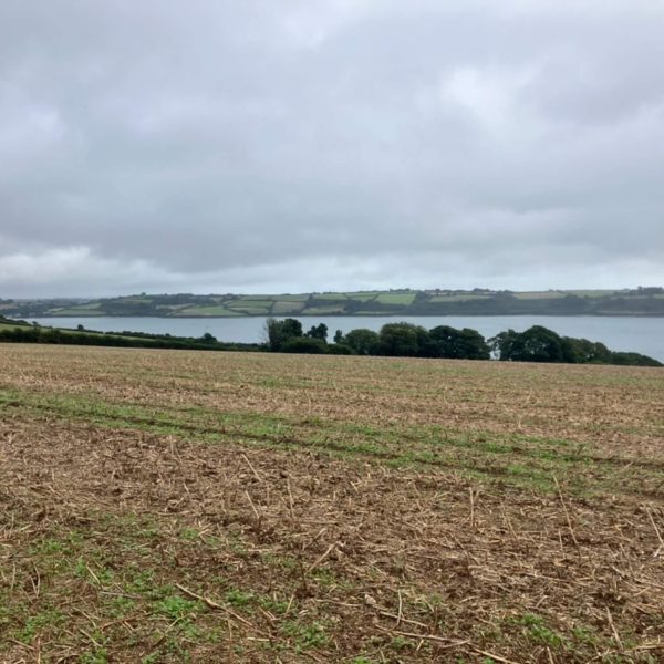 Flushing EstateBDB2B96D EF77 4ACD A23D 057D4774A439 1 105 c 600x600 - Flushing Estate