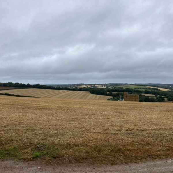 Flushing EstateC72F8A08 0045 4CE4 8CFB 4616FCB5547E 1 105 c 600x600 - Flushing Estate