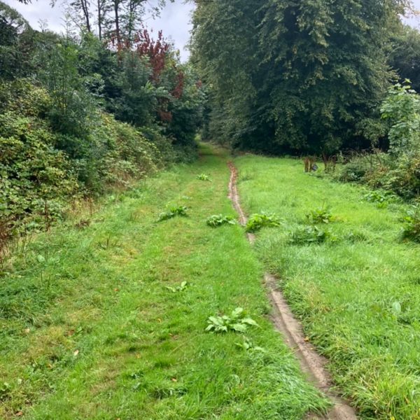 Flushing EstateEFE2699D 9034 49AE 9B23 33B619D61107 1 105 c 600x600 - Flushing Estate