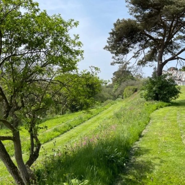 Combe MorvanFE6F41E9 7A5E 464F BBBA 53355676072B 600x600 - Combe Morvan